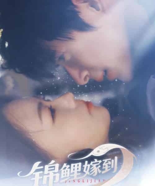 锦鲤嫁到(67集)贾舒宁-紫橙资源网