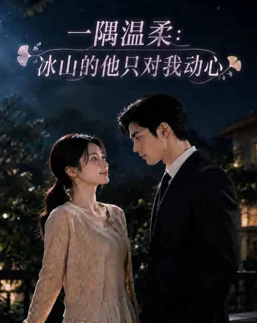 一隅温柔:冰山的他只对我动心(63集全)AI-紫橙资源网