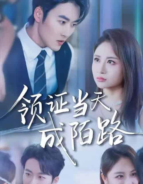 领证当天成陌路（39集全）姜博龙＆李佳乐-紫橙资源网