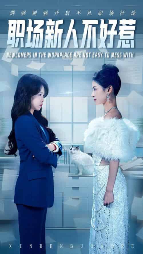 职场新人不好惹（61集全）汪巧＆吴彦婷-紫橙资源网