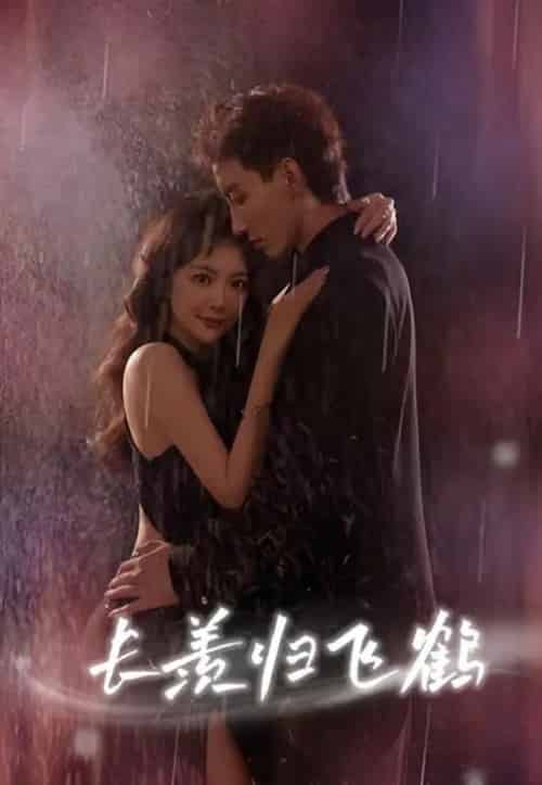 长羡归飞鹤 （70集） 霍文琦 长篇-紫橙资源网