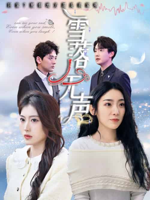 雪落无声 雪落无声