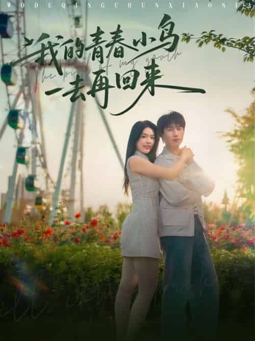我的青春小鸟一去再回来(95集)严浩&刘彦君&瑞子&王希如-紫橙资源网