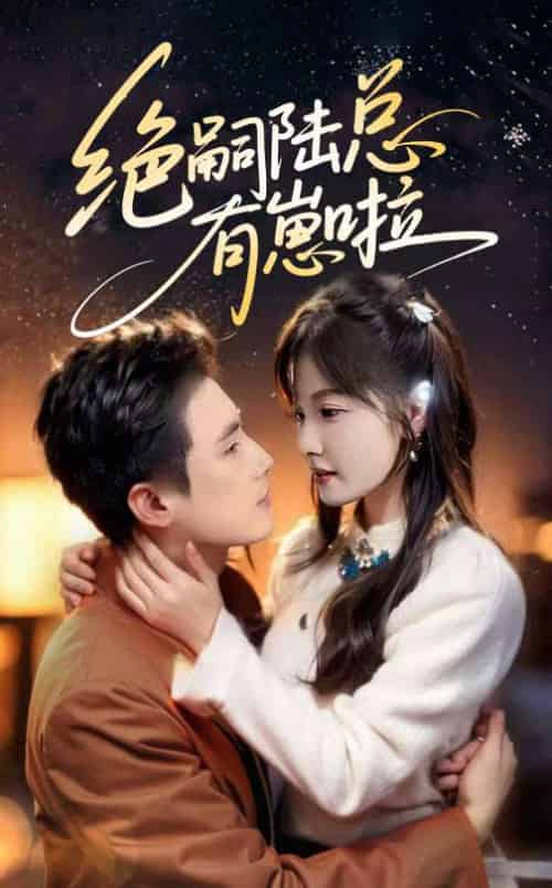 绝嗣陆总有崽啦（60集）岑明＆朱馨玉-紫橙资源网