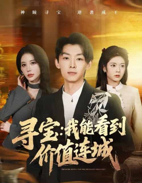 寻宝：我能看到价值连城（80集全）凌月＆孙伟豪-紫橙资源网
