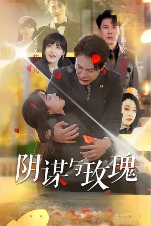 阴谋与玫瑰（31集全）朱馨玉＆刘涵飞-紫橙资源网