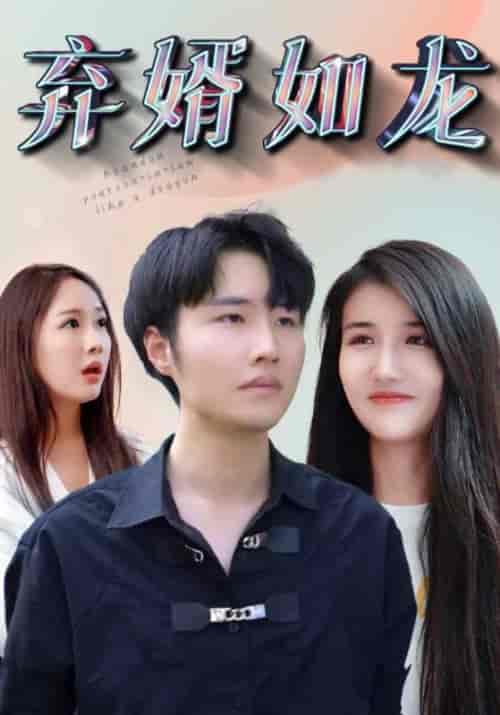 弃婿如龙（91集全）林枫＆程清雅-紫橙资源网