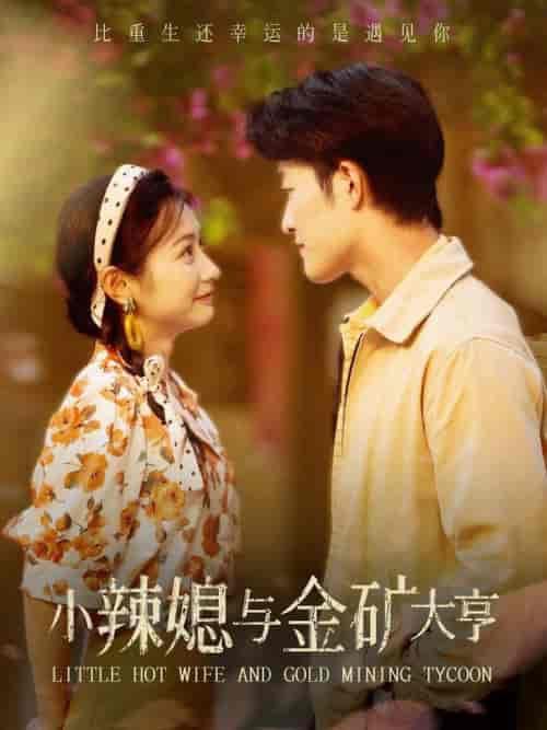 小辣媳与金矿大亨（98集）-紫橙资源网