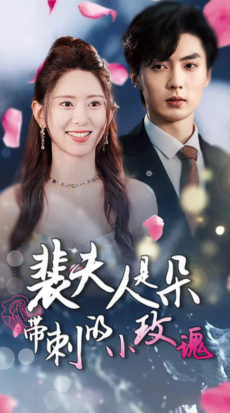 裴夫人是朵带刺的小玫瑰＆离婚后前妻惊艳全球（69集）-紫橙资源网