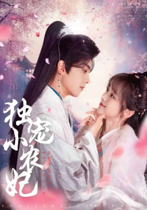 独宠小农妃（63集全）韦若辰＆蔡淼燕-紫橙资源网