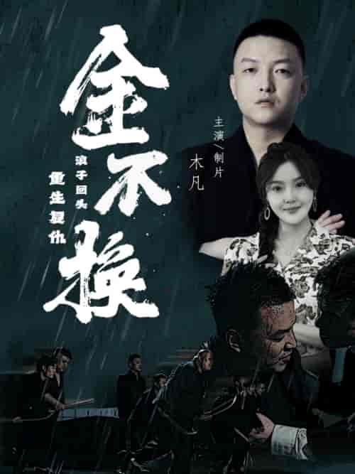 金不换（32集）-紫橙资源网