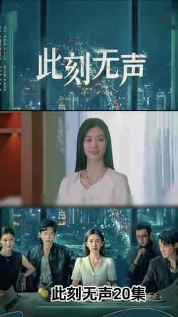 此刻无声（20集）-紫橙资源网