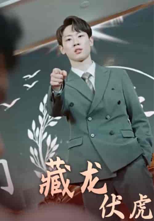 藏龙伏虎（93集全）叶昊＆沈云溪-紫橙资源网