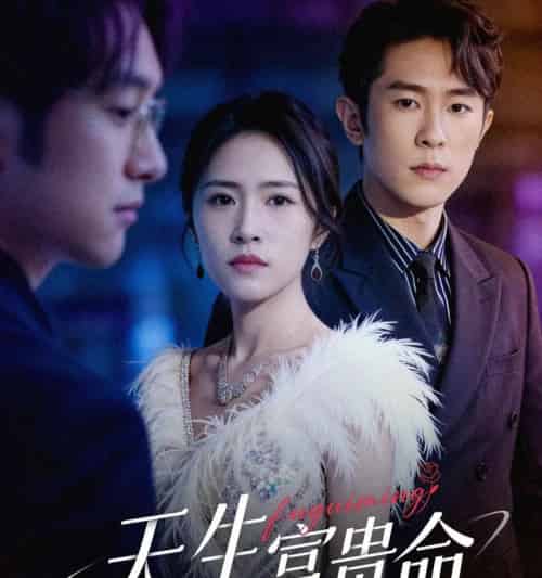 天生富贵命（48集全）胥宁轲＆崔莹-紫橙资源网
