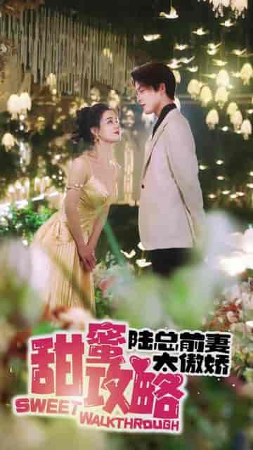 甜蜜攻略：陆总前妻太傲娇（89集）-紫橙资源网