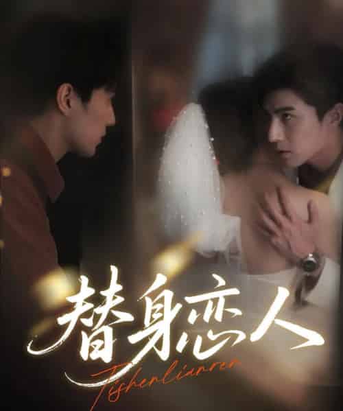 替身恋人   共53集-紫橙资源网