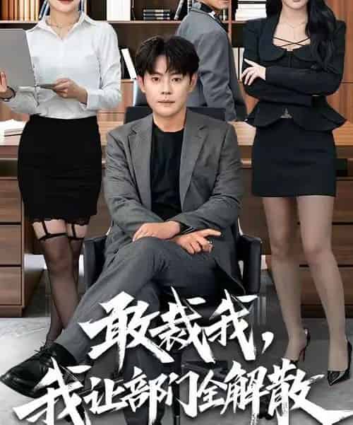 敢裁我，我让部门全解散（82集全）杨妍＆邱浩轩-紫橙资源网