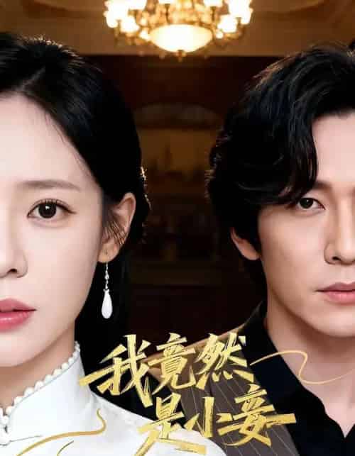 我竟然是小妾（47集全）李家豪＆朱彤-紫橙资源网