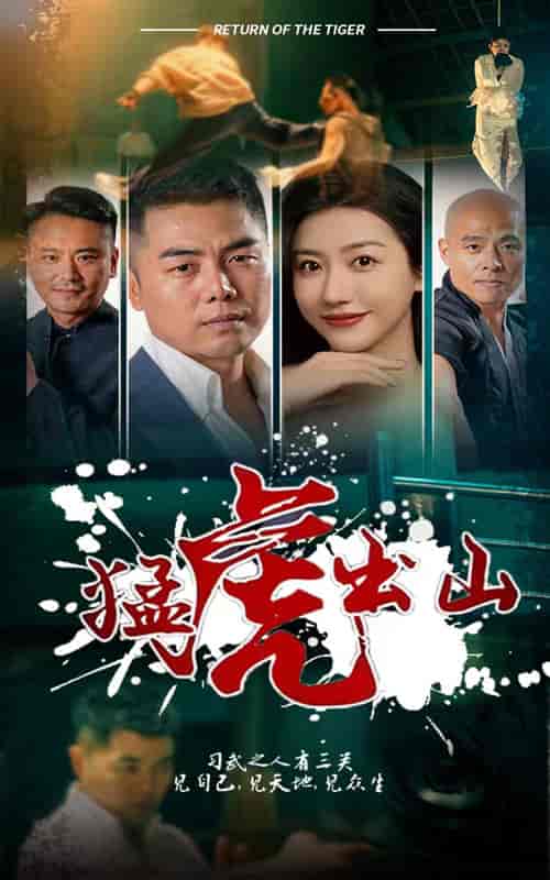 猛虎出山（69集）-紫橙资源网
