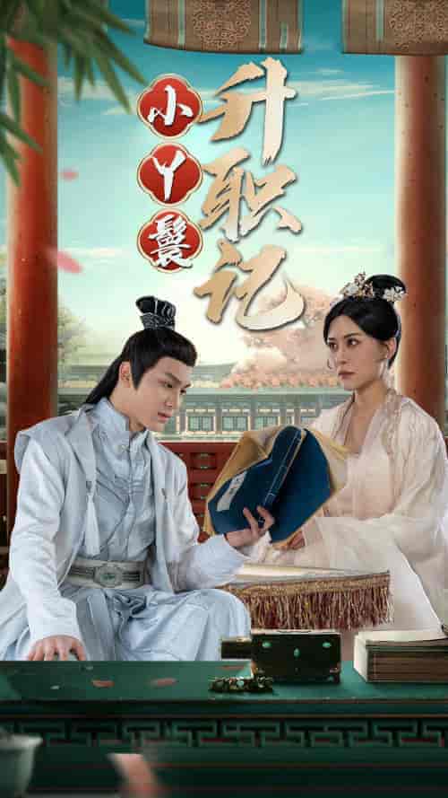 小丫鬟升职记（100集）-紫橙资源网