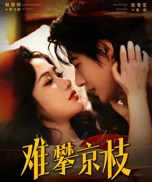 难攀京枝（74集全）赵振栋＆张晋宜-紫橙资源网