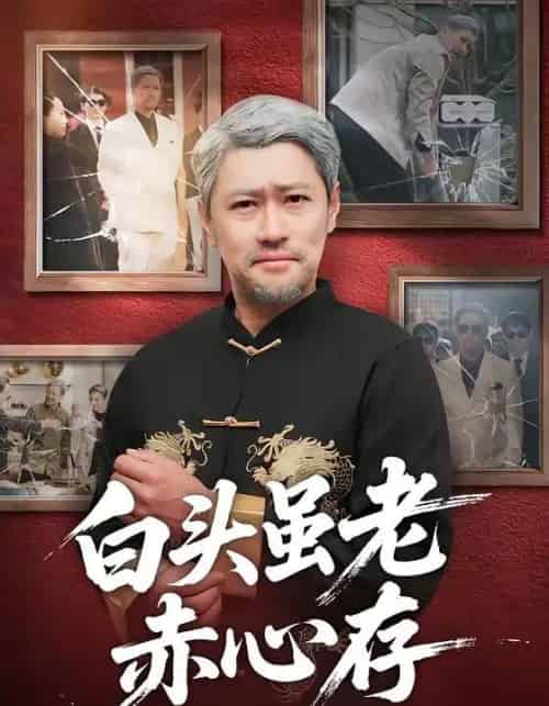 白头虽老赤心存（71集全）王争＆王晨-紫橙资源网