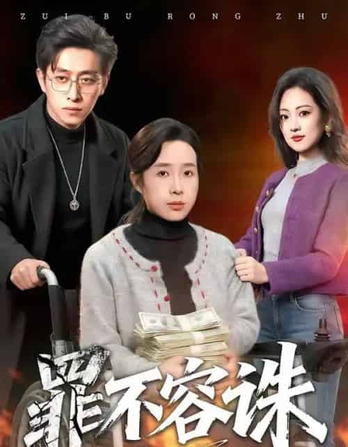 罪不容诛(80集全)林海燕&王艺朴-紫橙资源网