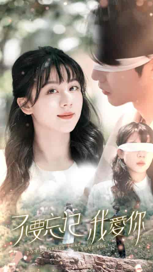 不要忘记我爱你（69集）-紫橙资源网