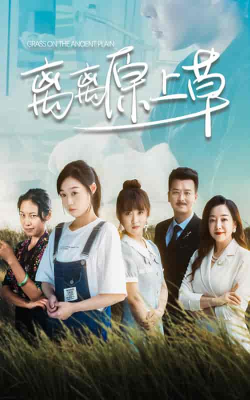 离离原上草（82集）孙蔚琳-紫橙资源网