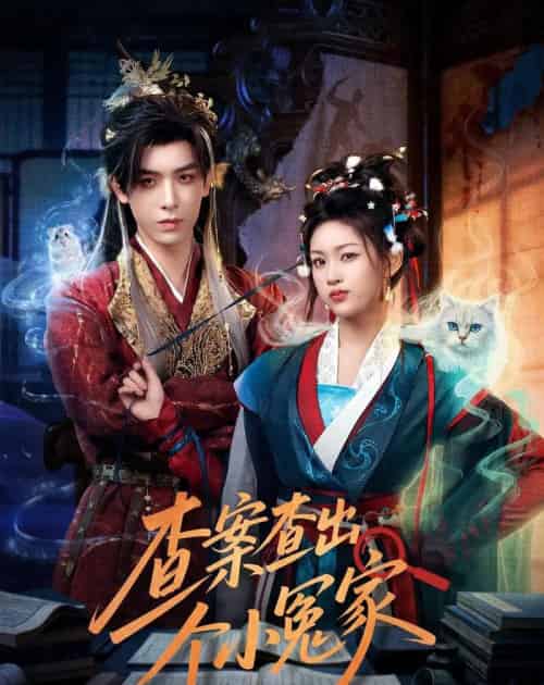 查案查出个小冤家(90集全)黄天崎&谢卓亚-紫橙资源网