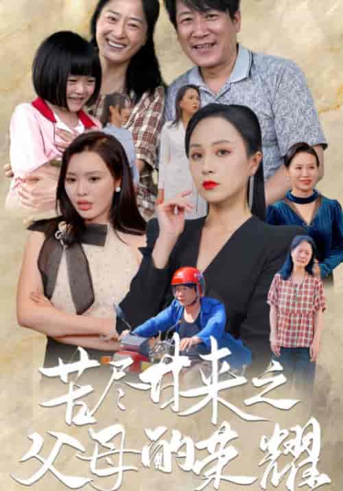 苦尽甘来之父母的荣耀（86集）-紫橙资源网