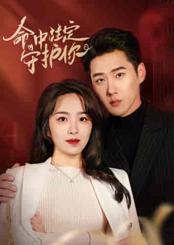 命中注定守护你(95集)戴菲-紫橙资源网
