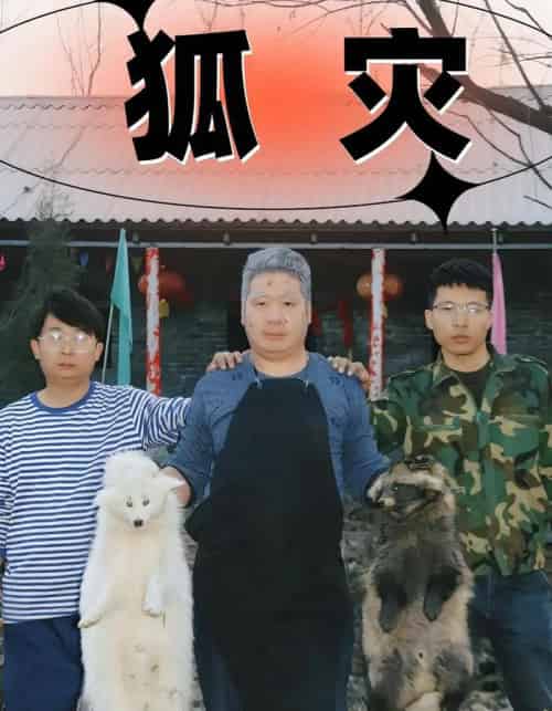 狐灾（25集）-紫橙资源网