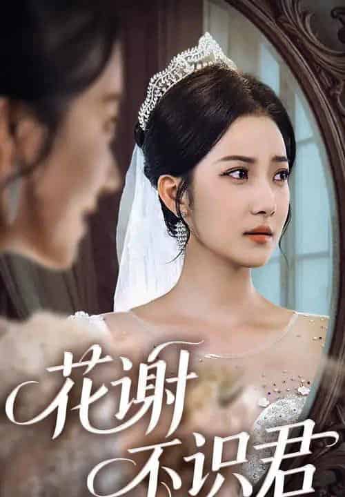 花谢不识君(40集)段文鹏&贾金赛-紫橙资源网