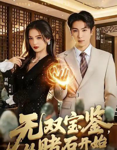 无双宝鉴,从赌石开始(70集全)张星叙&刘畅-紫橙资源网