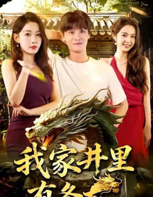 我家井里有条龙（80集全）AI-紫橙资源网