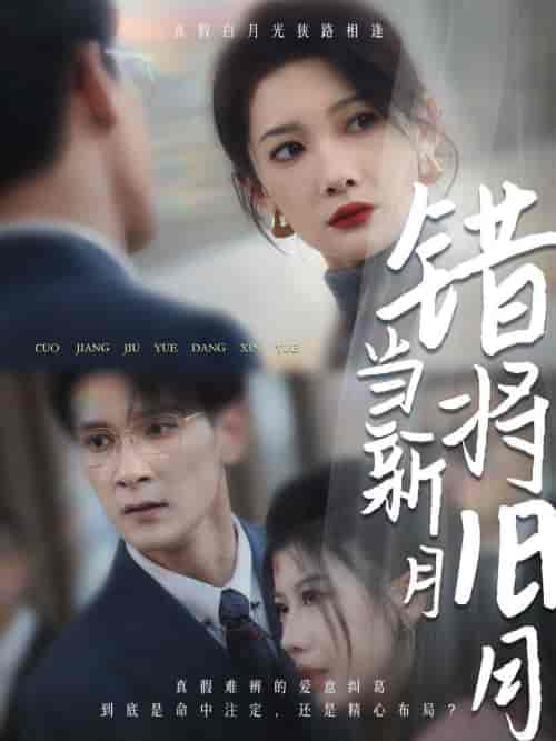 错将旧月当新月（35集全）-紫橙资源网