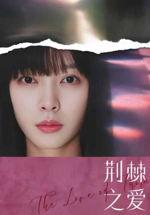 荆棘之爱（66集全）陈昊＆言曼-紫橙资源网