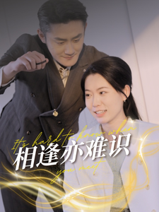相逢亦难识（50集全）-紫橙资源网