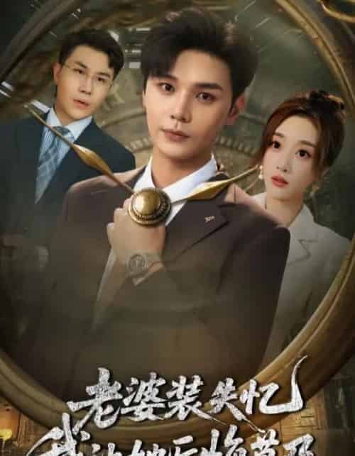 老婆装失忆我让她后悔莫及（70集）-紫橙资源网