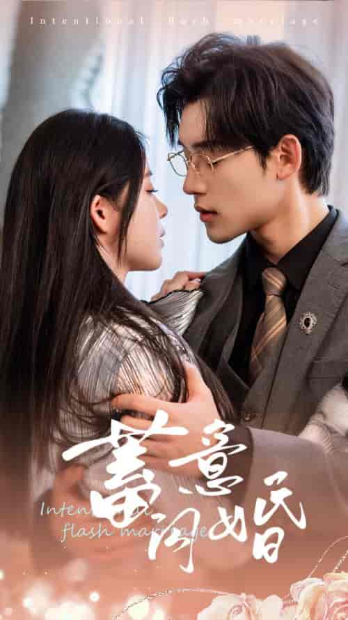 蓄意闪婚(68集全)赵慕颜-紫橙资源网