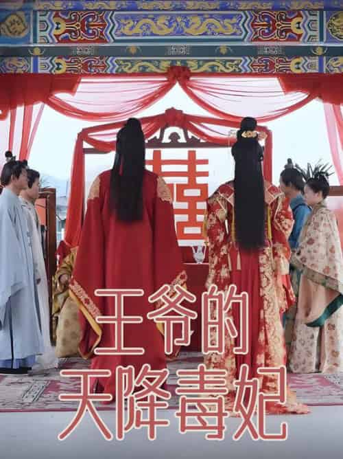 王爷的天降毒妃（73集全）樊纾宁-紫橙资源网