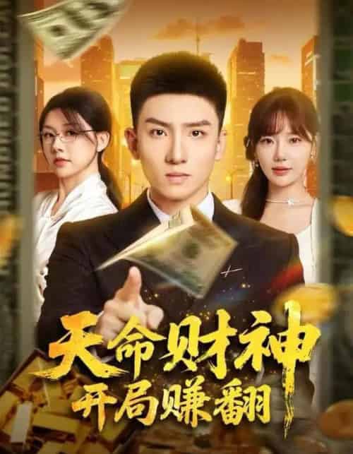 天命财神开局赚翻（80集全）霍文琦＆常文景-紫橙资源网