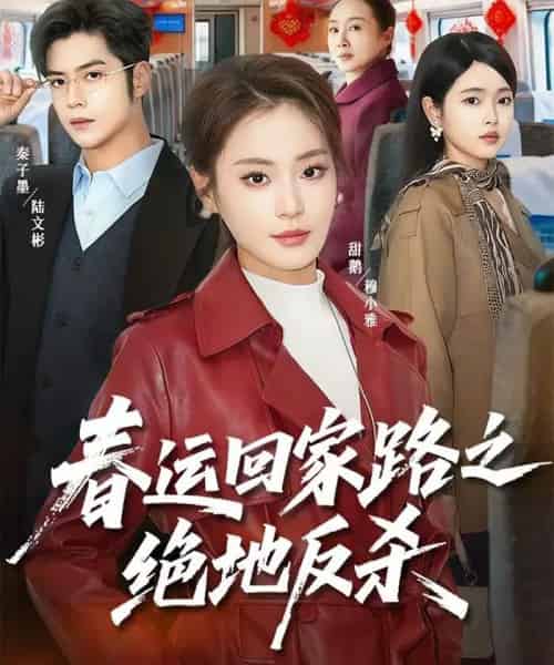 春运回家路之绝地反杀(59集全)秦子墨&甜鹅-紫橙资源网