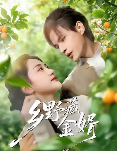 乡野藏金婿（50集全）冯琳玲＆吴杰-紫橙资源网