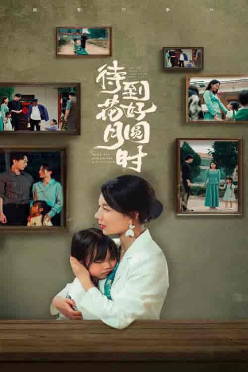 待到花好月圆时(30集)-紫橙资源网