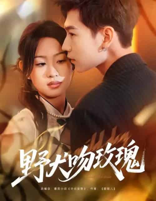 野犬吻玫瑰（70集全）王继冉＆孙园静-紫橙资源网