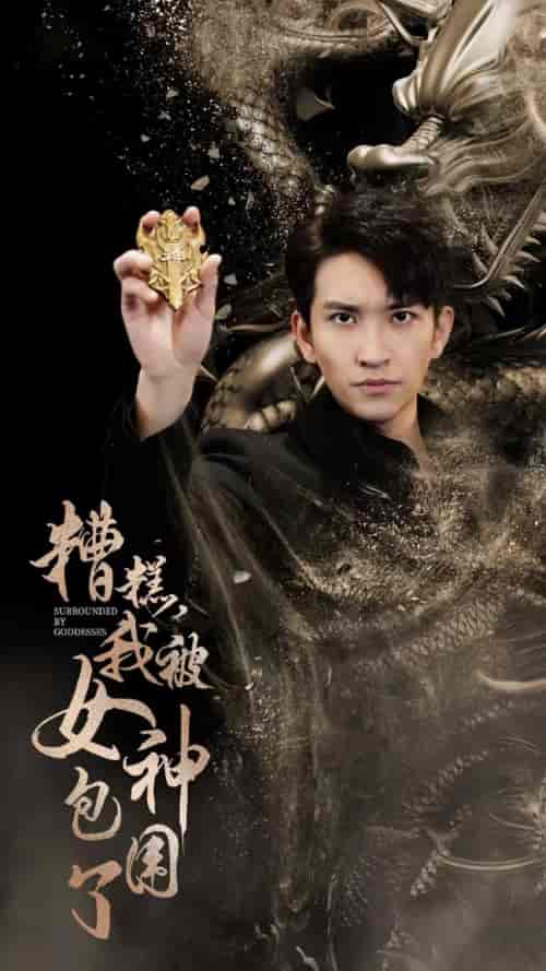 糟糕,我被女神包围了(94集)-紫橙资源网