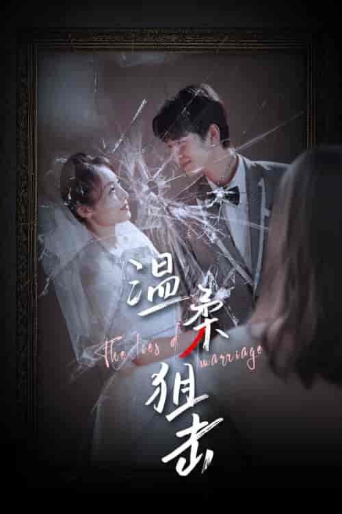 温柔狙击&婚姻迷雾&婚姻的谎言(81集)橙子-紫橙资源网