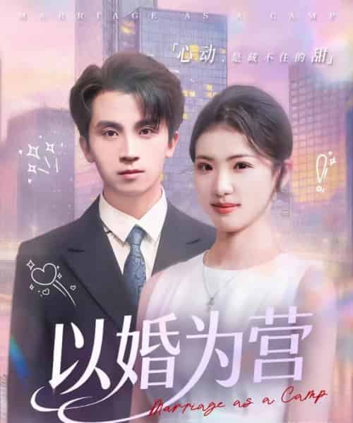 以婚为营 以婚为营